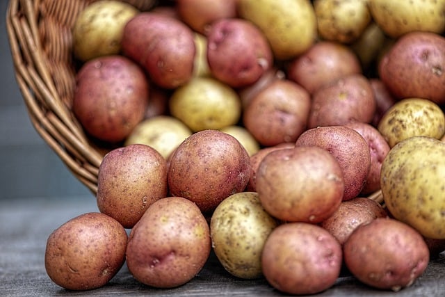 différentes variétés de pommes de terre