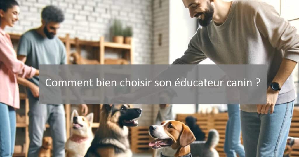 bien choisir éducateur canin