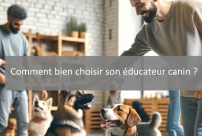 bien choisir éducateur canin