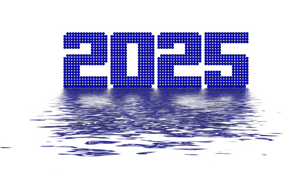 Programmer 2025